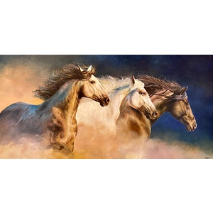 Wild Freedom 48x24 Stretched canvas by Thelma Fanstone Haffner