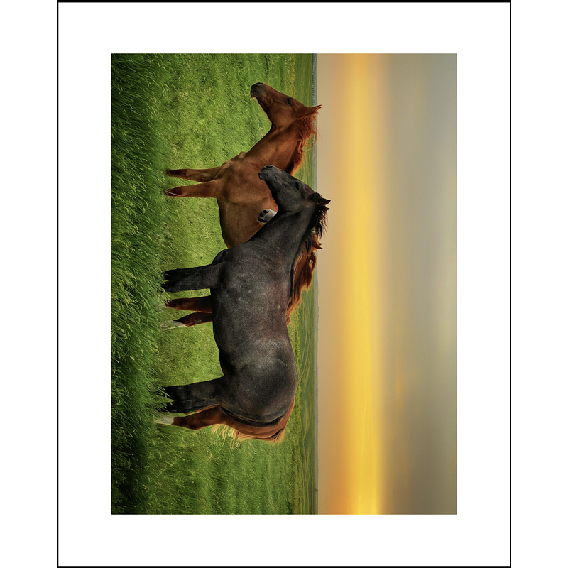 Three Horses 16"x20" archival Print by Steve Wewerka