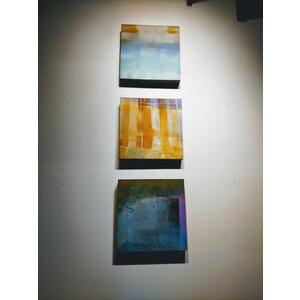 Series of 3 15" x15"  by Leslie Emery