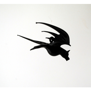 Diving Black Bat by Thomas von Koch