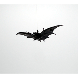 Small Black Bat by Thomas von Koch