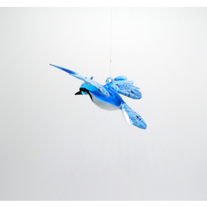 Blue Jay by Thomas von Koch