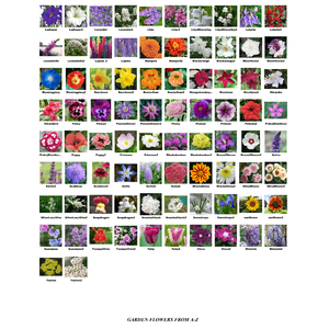Garden Flowers Photo Mosaic Print Art by David Addario