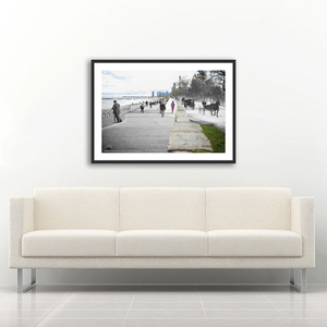 Shore Drive Lincoln Park - Framed by Mark Hersch