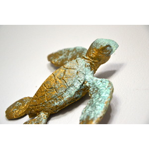 Sea Turtle by Ruben Medina